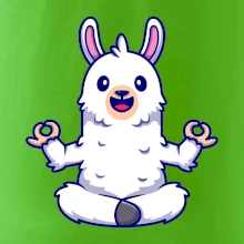 Yoga meditácie - lama