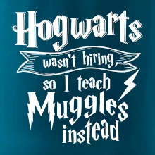 Harry - Hogwarts wasn’t hiring, so I teach Muggles instead