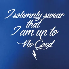 I solemnly swear that I'm up to no good