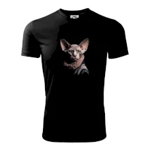 Kočka sphynx s límcem Kočka sphynx s límcem
