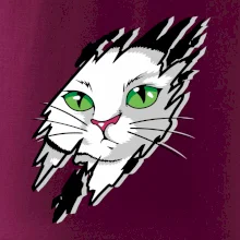 Kočka v roztrženém triku