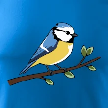 Sýkorka modrinka na vetve