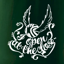 Harry - Zlatá strela