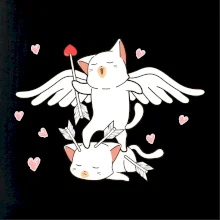 Mačky Amorov šíp Mačky Amorov šíp