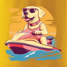 Zlatý retriever na vodnom skútri