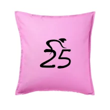 Cyklista oslavuje dvadsaťpäťku (25)