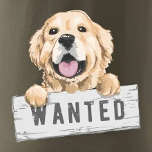 Zlatý retriever - šteniatko wanted