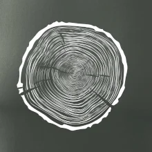 Letokruhy 75 bez veku