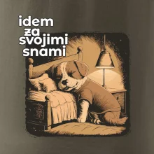 Idem za svojimi snami