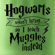 Harry - Hogwarts wasn’t hiring, so I teach Muggles instead