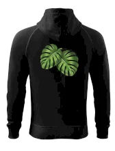 Monstera - dva listy