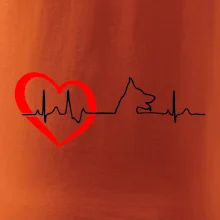 Nemecký ovčiak ekg