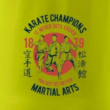 Karate Champions