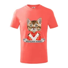 Napoleon domáci mačka