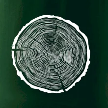 Letokruhy 60 bez veku