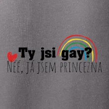 Gay princezna