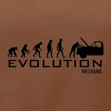 Evolúcia mechanik
