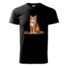 Mačka hrdzavá Mačka hrdzavá