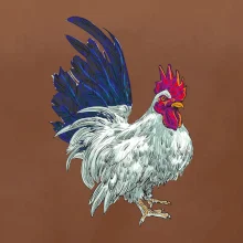 Kohút kreslený biely