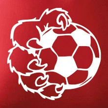 Medvedia laba futbal