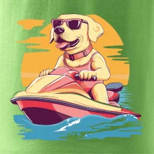 Zlatý retriever na vodnom skútri