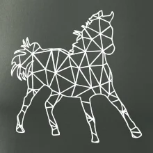 Geometria - kôň Geometria - kôň