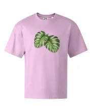 Monstera - dva listy