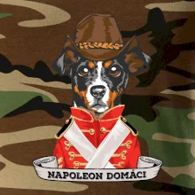 Napoleon domáci kríženec