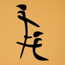 Čínský znak Čínský znak