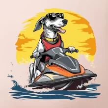 Chrt na vodnom skútri