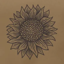 Slnečnica kreslená čiernobiela