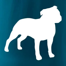 Americký stafordšírsky teriér Na prsníku