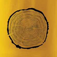 Letokruhy 65 bez veku