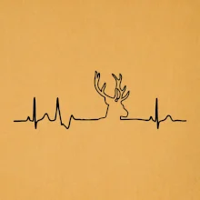 Jeleň EKG Jeleň EKG