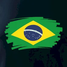 Brazília vlajka štetkou Brazília vlajka štetkou