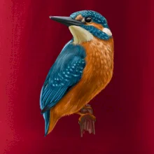 Ľadnáčik kreslený Ľadnáčik kreslený