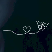 Dráha letu motýľa - srdce