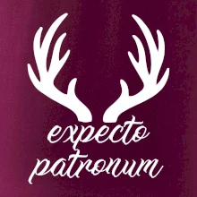 Harry - Expecto patronum