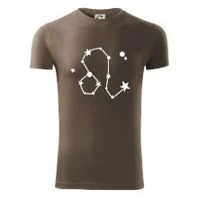 Súhvezdie - Leo - Lev Súhvezdie - Leo - Lev