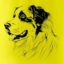 Bernský salašnícky pes čierna kresba