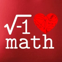 I love math
