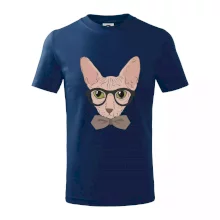 Hipster sphynx