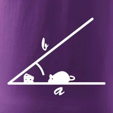 Matematická myš Matematická myš