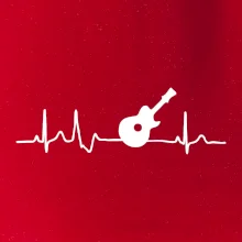 EKG akustická gitara