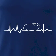 EKG morča EKG morča