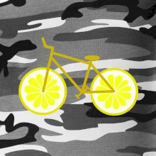 Bicykel citrón (Moňas)