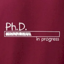 In progress titul Ph.D. doktor / doktorka (filozofia)