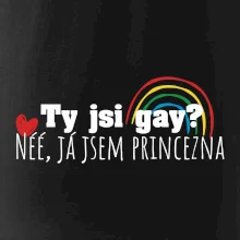 Gay princezna Gay princezna