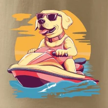 Zlatý retriever na vodnom skútri