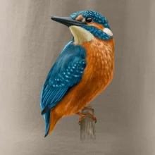 Ľadnáčik kreslený